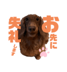 らぶぞぅg（個別スタンプ：4）