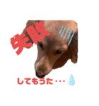 らぶぞぅg（個別スタンプ：5）