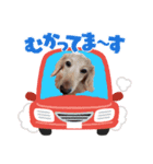 らぶぞぅg（個別スタンプ：7）