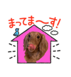 らぶぞぅg（個別スタンプ：8）