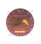 我が家の淡水魚の日常（個別スタンプ：3）