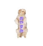 可愛いロアちゃん♥（個別スタンプ：9）