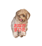 可愛いロアちゃん♥（個別スタンプ：11）