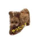 可愛いロアちゃん♥（個別スタンプ：14）