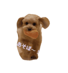 可愛いロアちゃん♥（個別スタンプ：17）