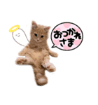 ペロタン日記（個別スタンプ：7）