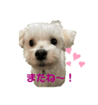リイシューちゃん4（個別スタンプ：4）