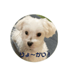 リイシューちゃん4（個別スタンプ：7）
