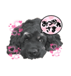 アメコカぽぽちゃん（個別スタンプ：6）