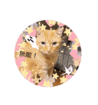 とらさぶろうコレクション（個別スタンプ：25）