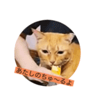 とらさぶろうコレクション（個別スタンプ：35）