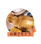 とらさぶろうコレクション（個別スタンプ：37）