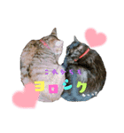 mi‐naチャン（個別スタンプ：4）