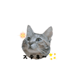 mi‐naチャン（個別スタンプ：9）