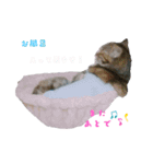mi‐naチャン（個別スタンプ：11）