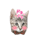 mi‐naチャン（個別スタンプ：12）