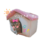 mi‐naチャン（個別スタンプ：15）