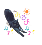 mi‐naチャン（個別スタンプ：16）