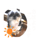 ちょこスタンプ No.2（個別スタンプ：1）