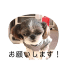 ちょこスタンプ No.2（個別スタンプ：3）
