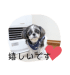 ちょこスタンプ No.2（個別スタンプ：11）
