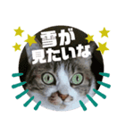 ナナエモン⑥冬っぽい（個別スタンプ：3）