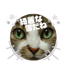 ナナエモン⑥冬っぽい（個別スタンプ：4）