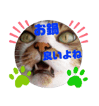 ナナエモン⑥冬っぽい（個別スタンプ：5）