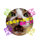 ナナエモン⑥冬っぽい（個別スタンプ：6）
