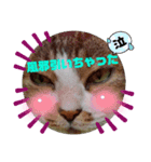 ナナエモン⑥冬っぽい（個別スタンプ：7）