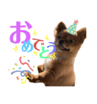 ちゃちゃんぷぅ2（個別スタンプ：9）