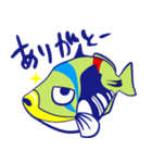 モンガラちゃん（個別スタンプ：1）