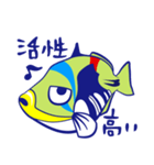 モンガラちゃん（個別スタンプ：3）