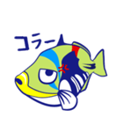 モンガラちゃん（個別スタンプ：12）