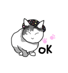我が家のおにゃんこ（個別スタンプ：1）