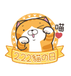 ランラン猫 29 (台湾版)（個別スタンプ：6）