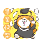 ランラン猫 29 (台湾版)（個別スタンプ：15）