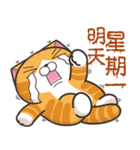 ランラン猫 29 (台湾版)（個別スタンプ：40）