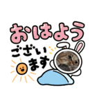 ちやわん（個別スタンプ：1）