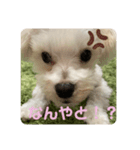 リイシューちゃん5（個別スタンプ：2）