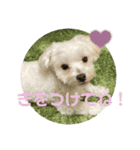 リイシューちゃん5（個別スタンプ：4）