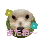 リイシューちゃん5（個別スタンプ：13）