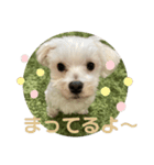 リイシューちゃん5（個別スタンプ：15）