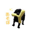 ダップーのゆずちゃん①（個別スタンプ：10）