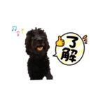 ダップーのゆずちゃん①（個別スタンプ：13）