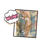 好きだにゃん♡（個別スタンプ：6）