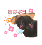 ヌッコさん3（個別スタンプ：6）
