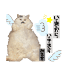 ヌッコさん3（個別スタンプ：8）