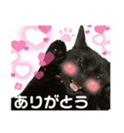 ヌッコさん3（個別スタンプ：15）
