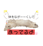 ヌッコさん3（個別スタンプ：20）